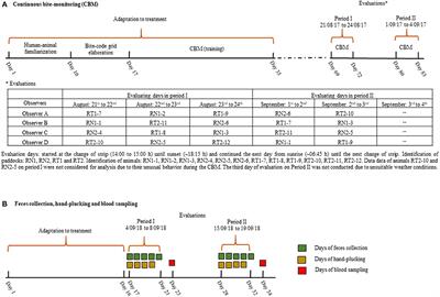 Low-Intensity, High-Frequency Grazing Positively Affects Defoliating Behavior, Nutrient Intake and Blood Indicators of Nutrition and Stress in Sheep